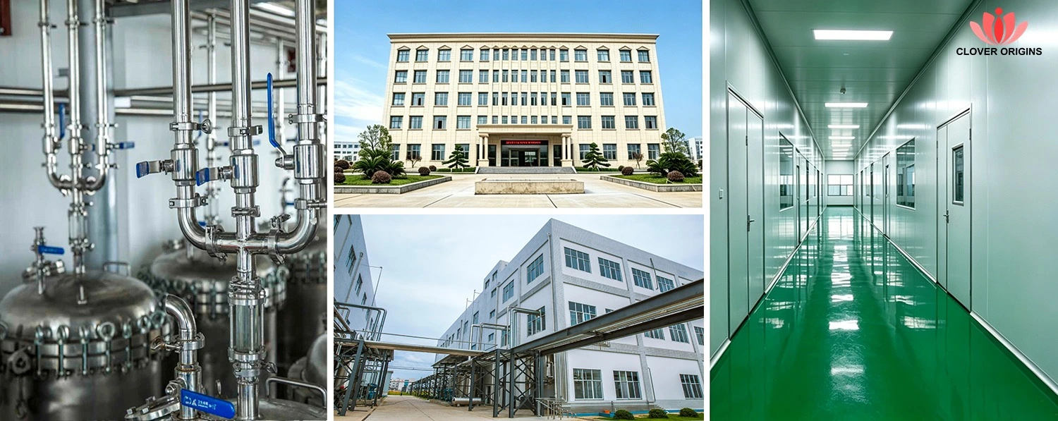 Manufacturing base Manufacturing base