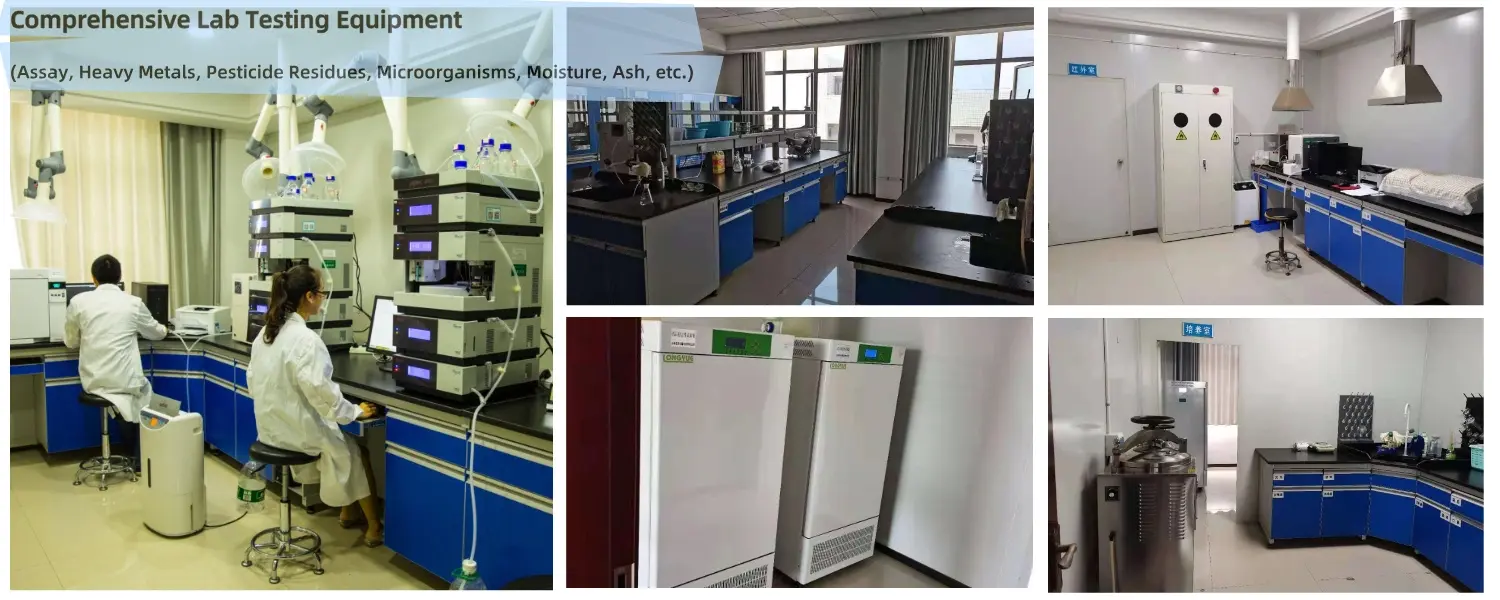 lab