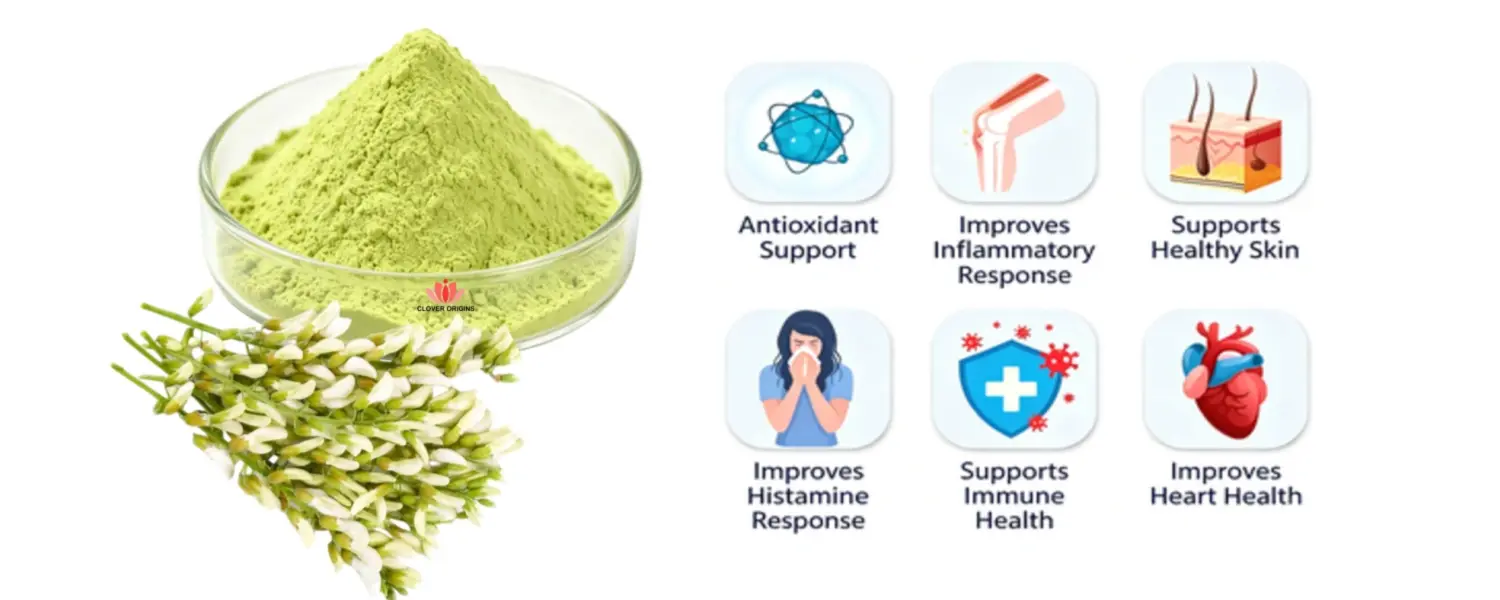 application-Quercetin