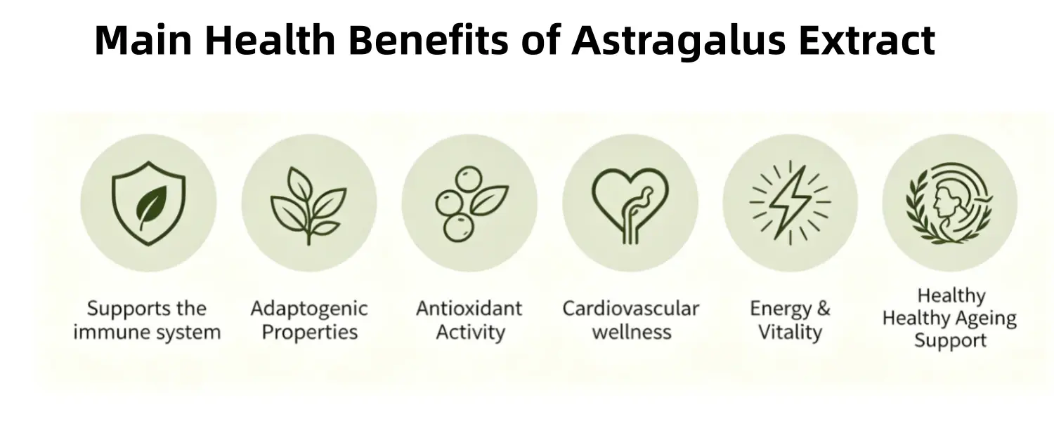 Astragalus Extract
