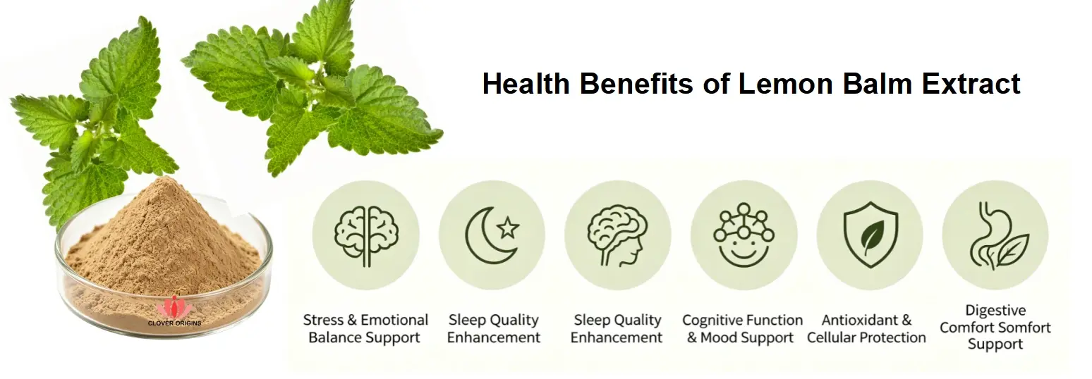 Health Benefits of Lemon Balm Extract Health Benefits of Lemon Balm Extract