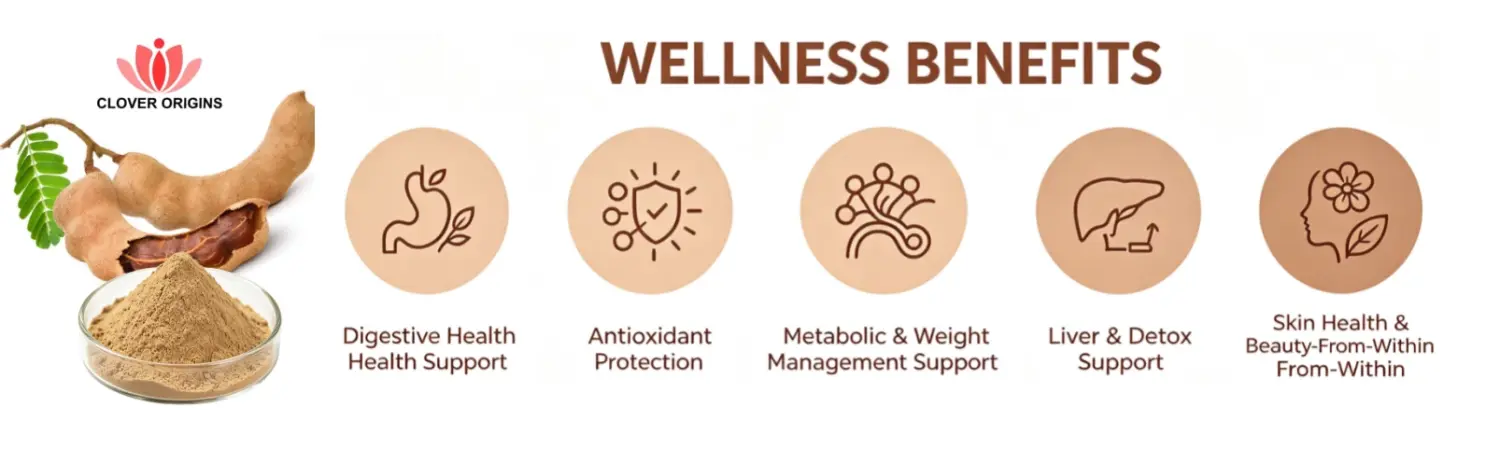 Benefits of Tamarind Extract Powder