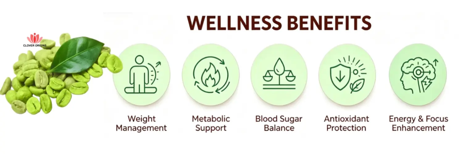 Benefits of Green Coffee Extract Benefits of Green Coffee Extract