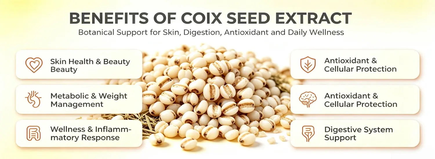Benefits of Coix Seed Extract