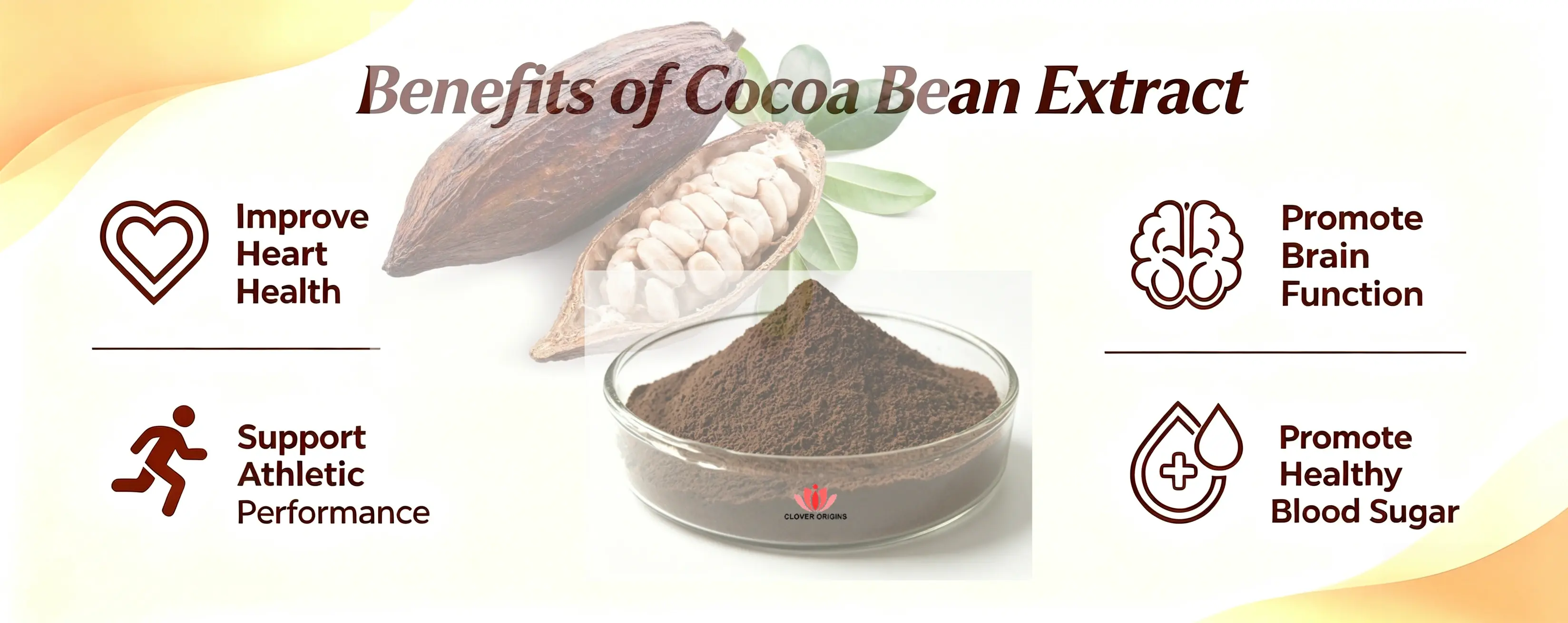 Benefits of Cocoa Bean Extract
