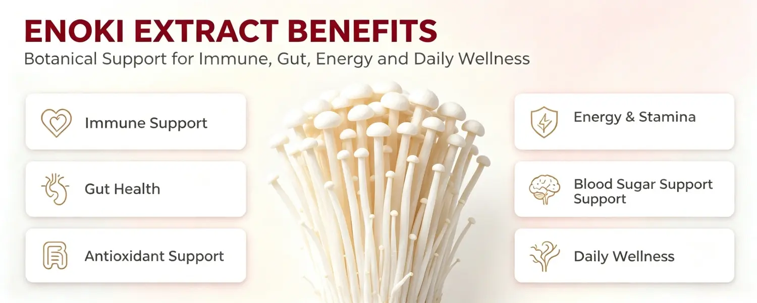 ENOKI EXTRACT BENEFITS ENOKI EXTRACT BENEFITS