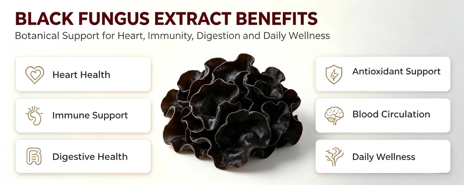 BLACK FUNGUS EXTRACT BENEFITS