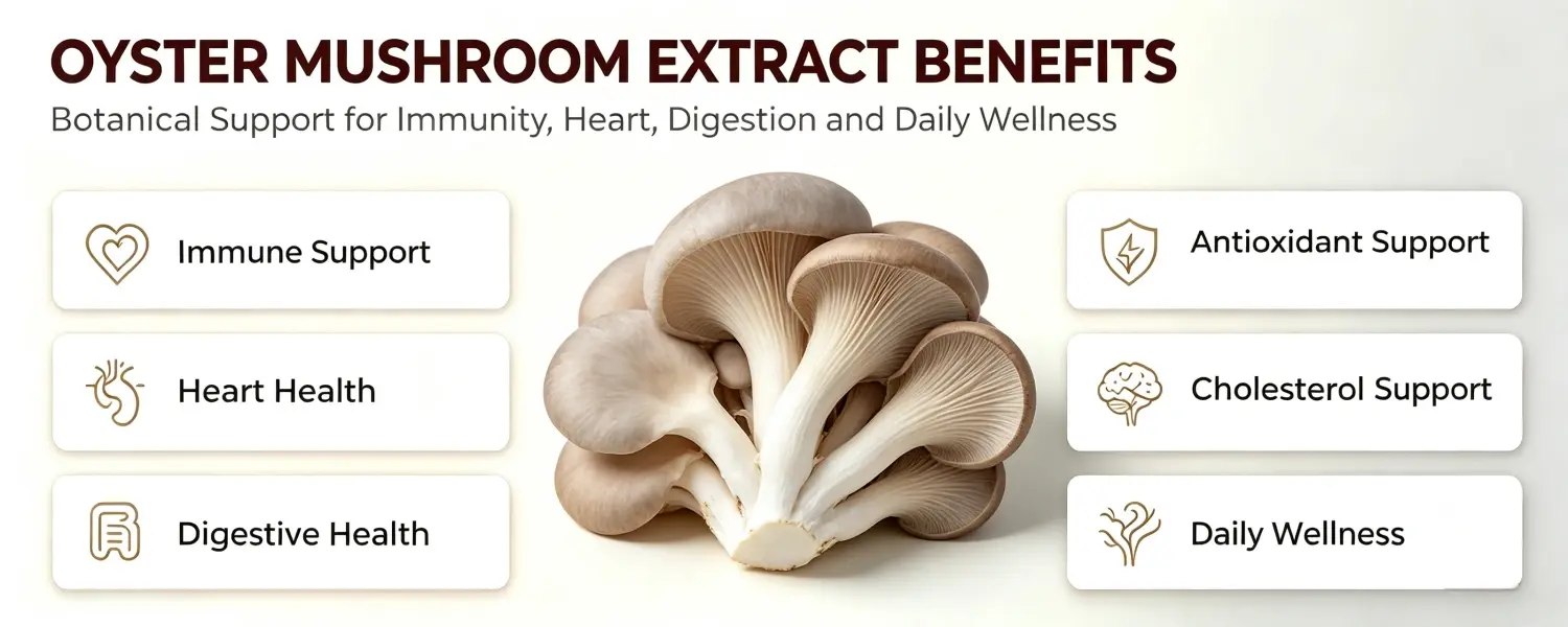 OYSTER MUSHROOM EXTRACT BENEFITS