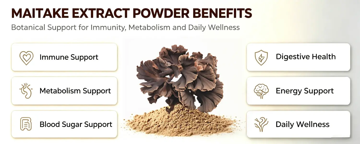 MAITAKE EXTRACT POWDER BENEFITS