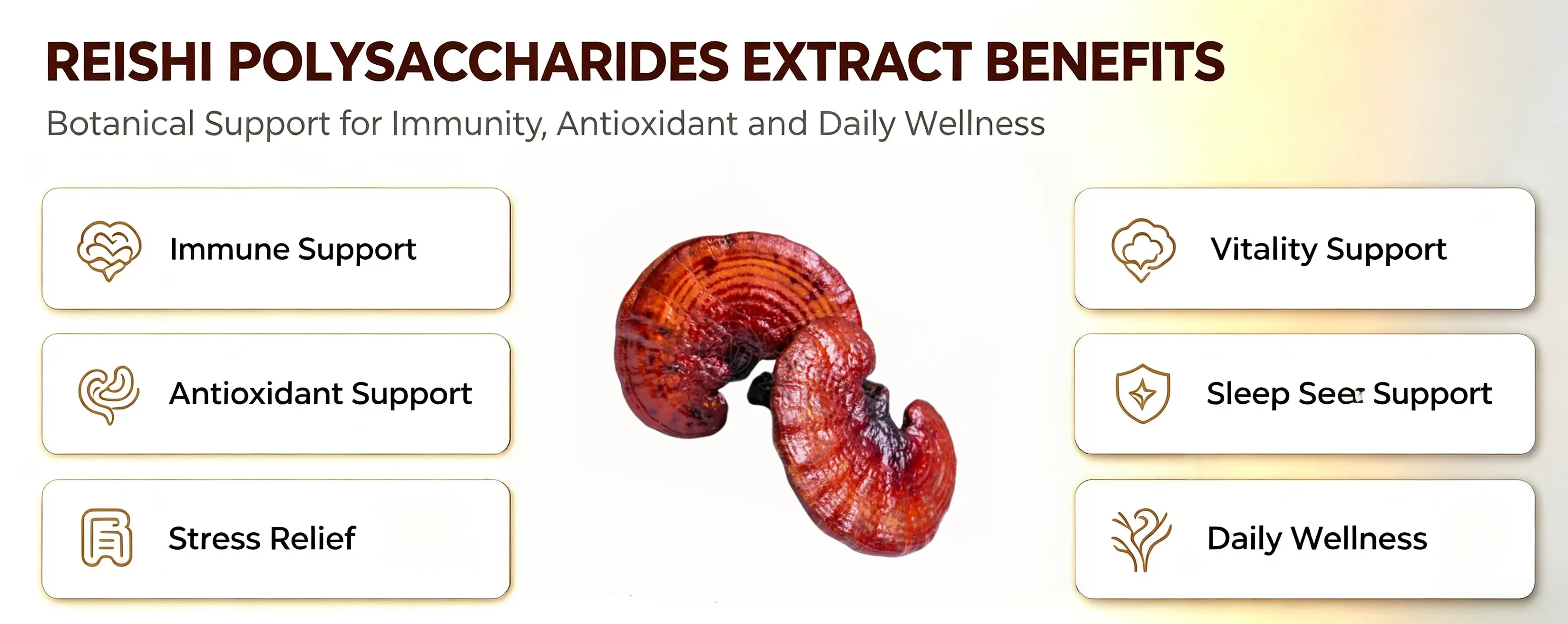 Reishi Polysaccharides Extract Benefits