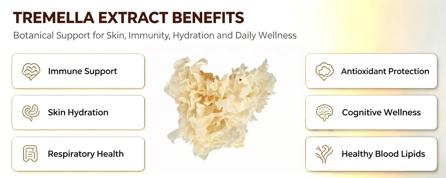 TREMELLA EXTRACT BENEFITS