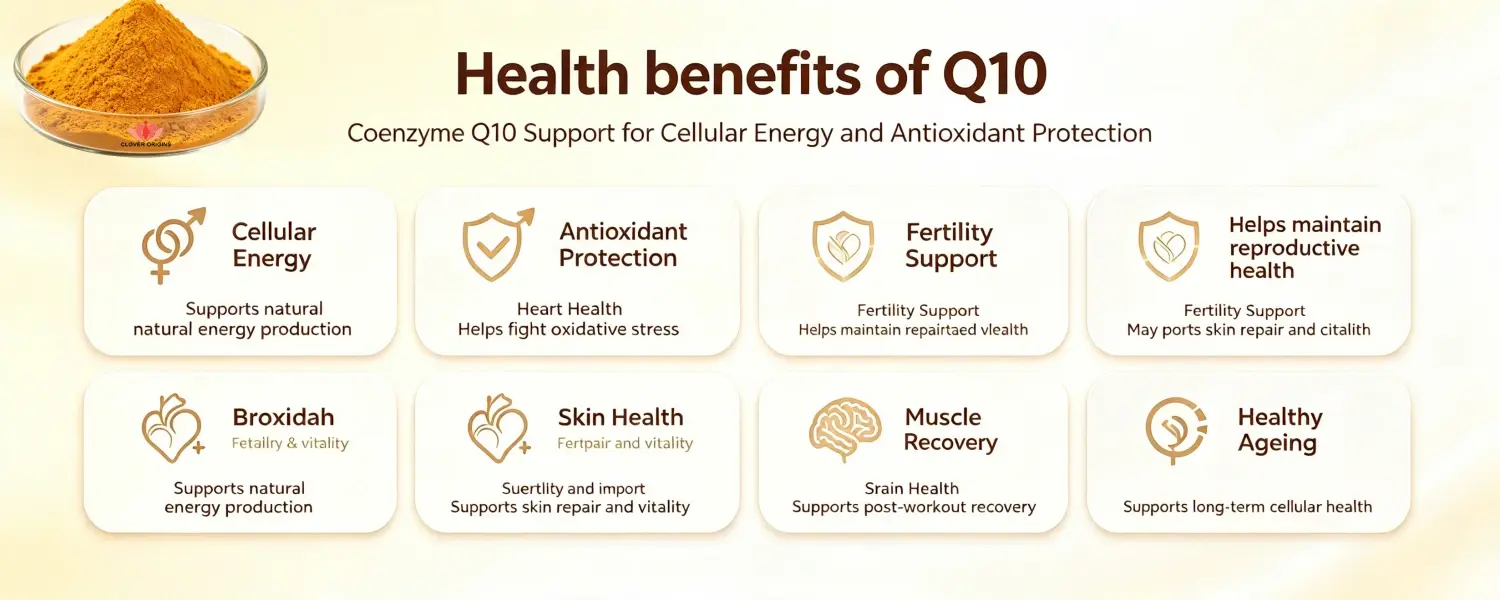 Health Benefits of Q10 Health Benefits of Q10