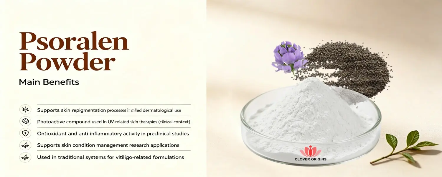 Benefits of Psoralen Powder Benefits of Psoralen Powder