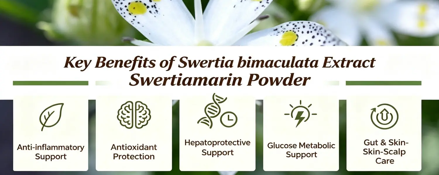 Benefits of Swertiamarin powder