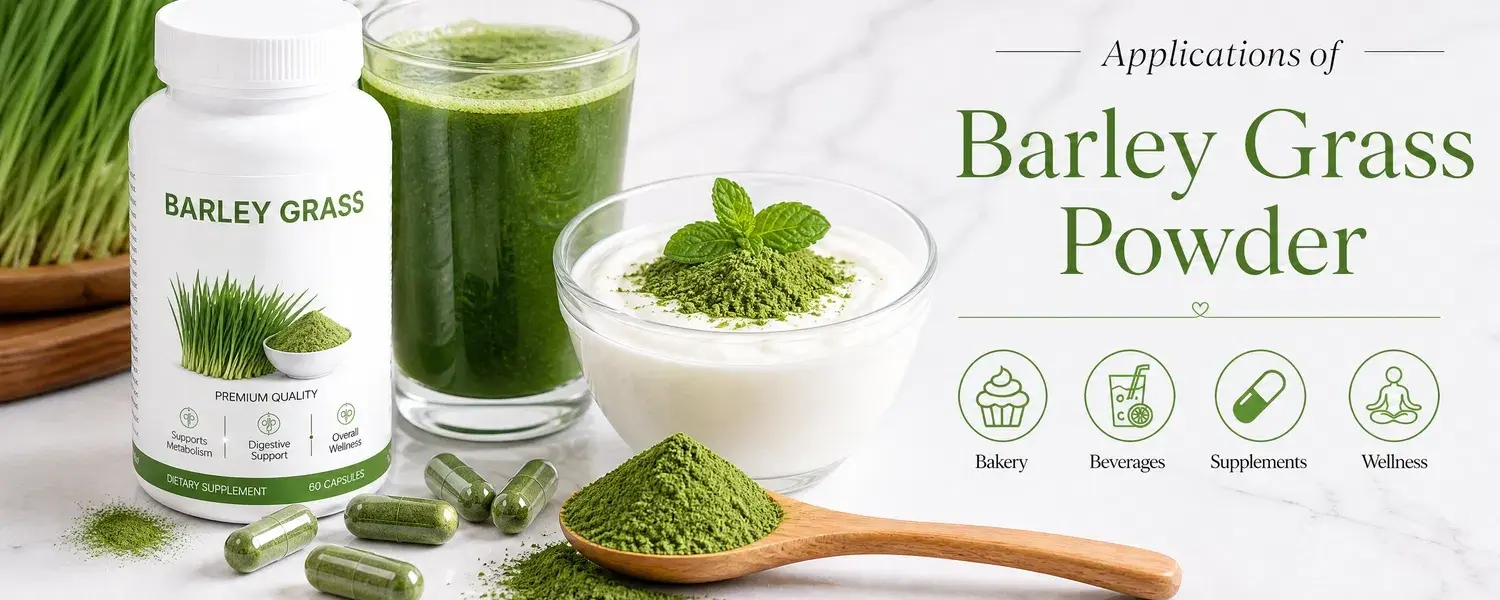 Applications of Barley Grass Powder