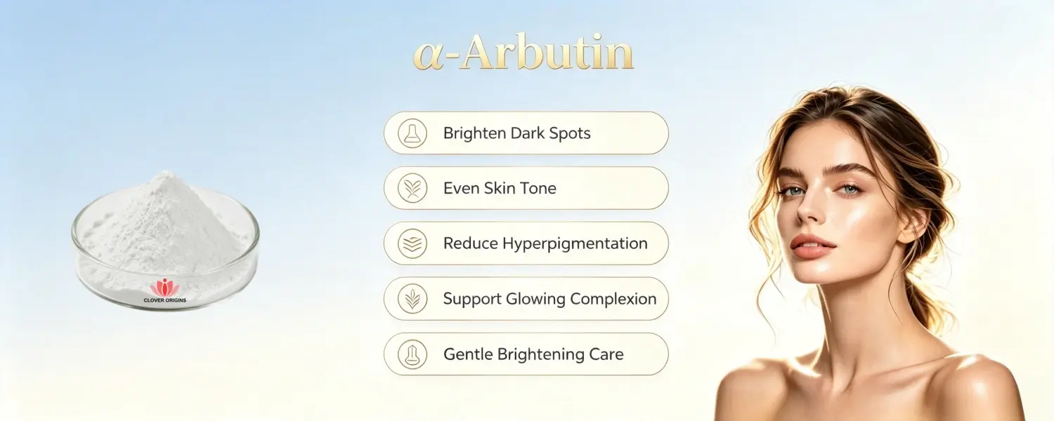 Benefits of α-Arbutin Powder Benefits of α-Arbutin Powder