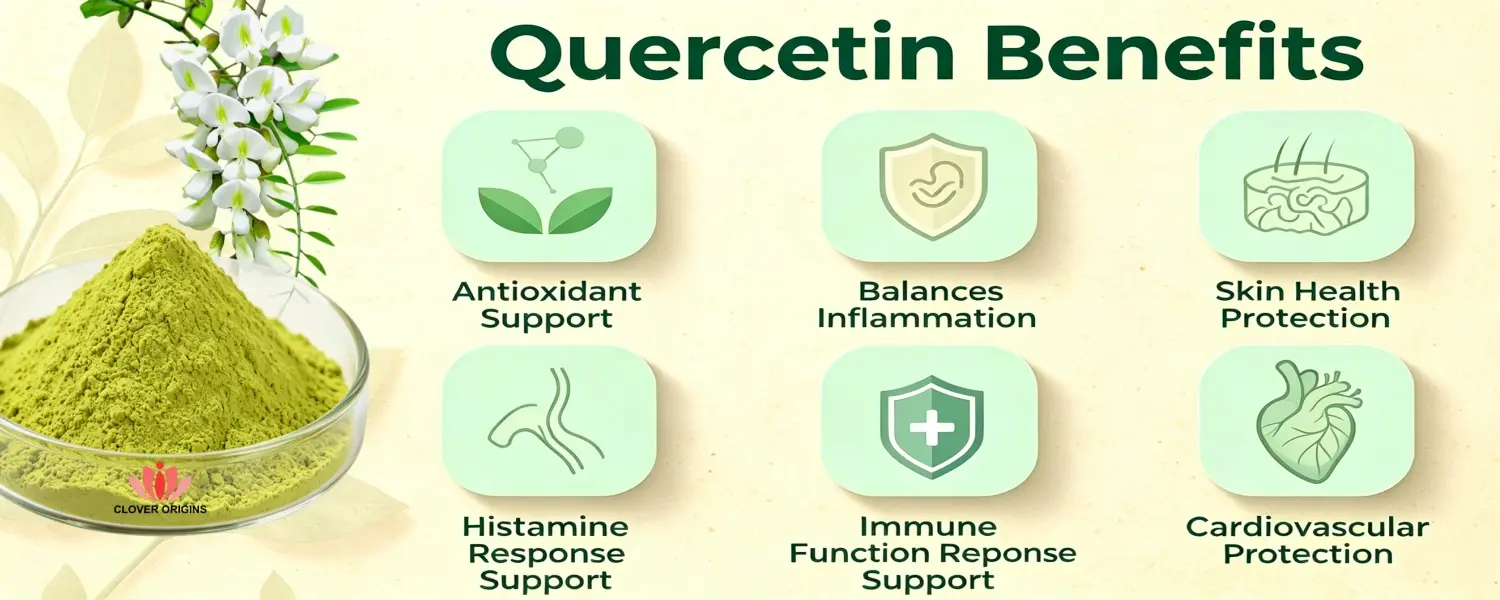 Benefits of Quercetin Benefits of Quercetin