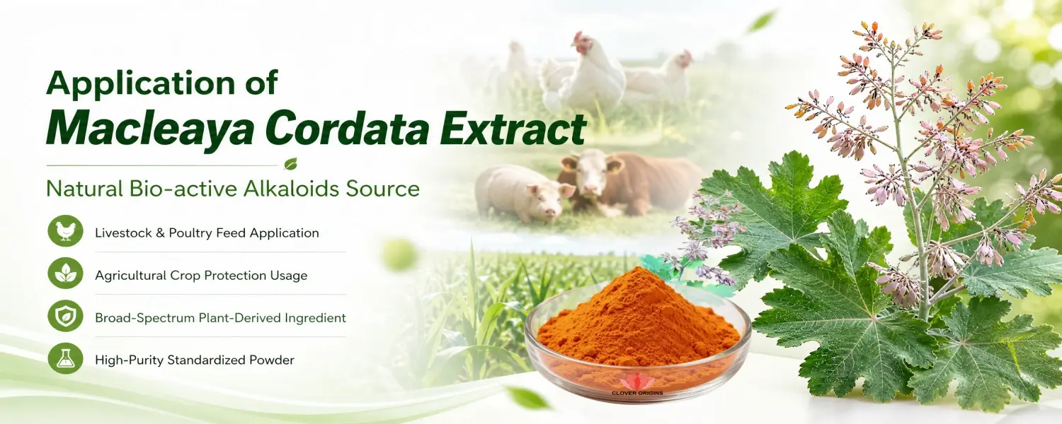 Applicaitons of Macleaya Cordata Extract