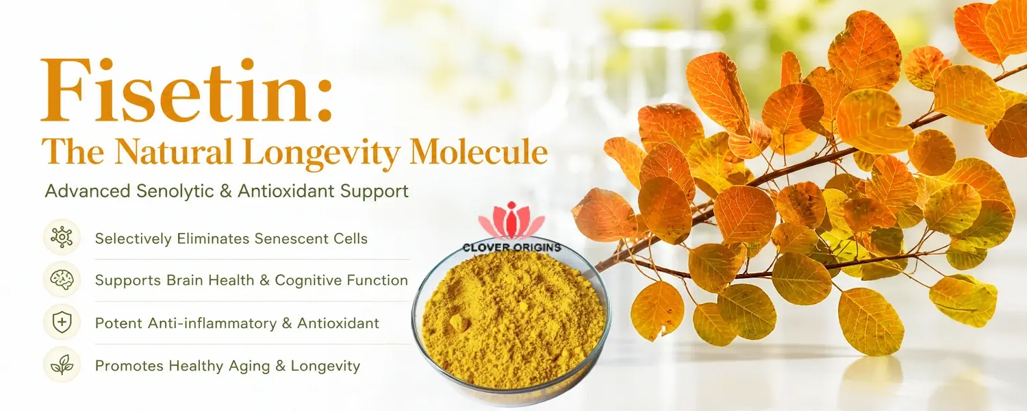 Benefits of Fisetin