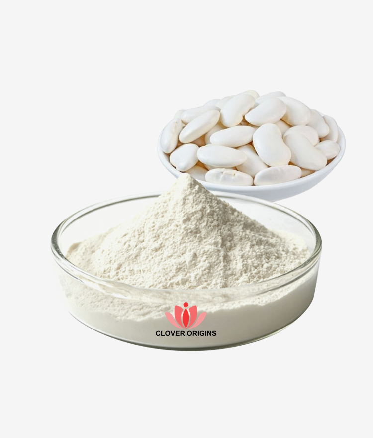 White Kidney Bean  Extract Powder