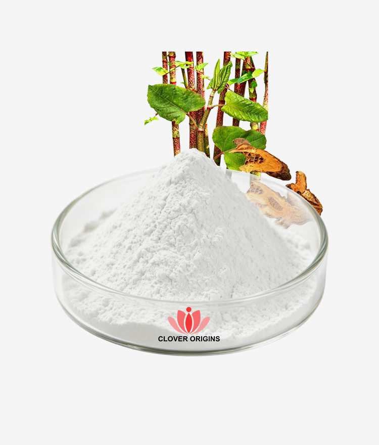 Trans Resveratrol Powder