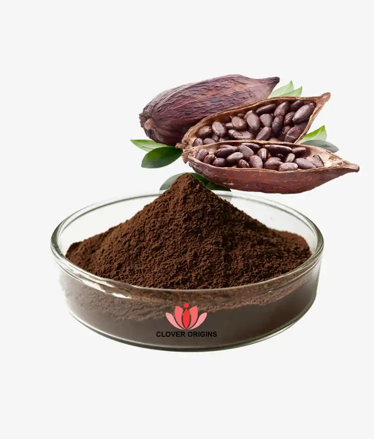 How Cocoa Bean Extract Powder Supports Pre-Workout Energy and Athletic Performance？