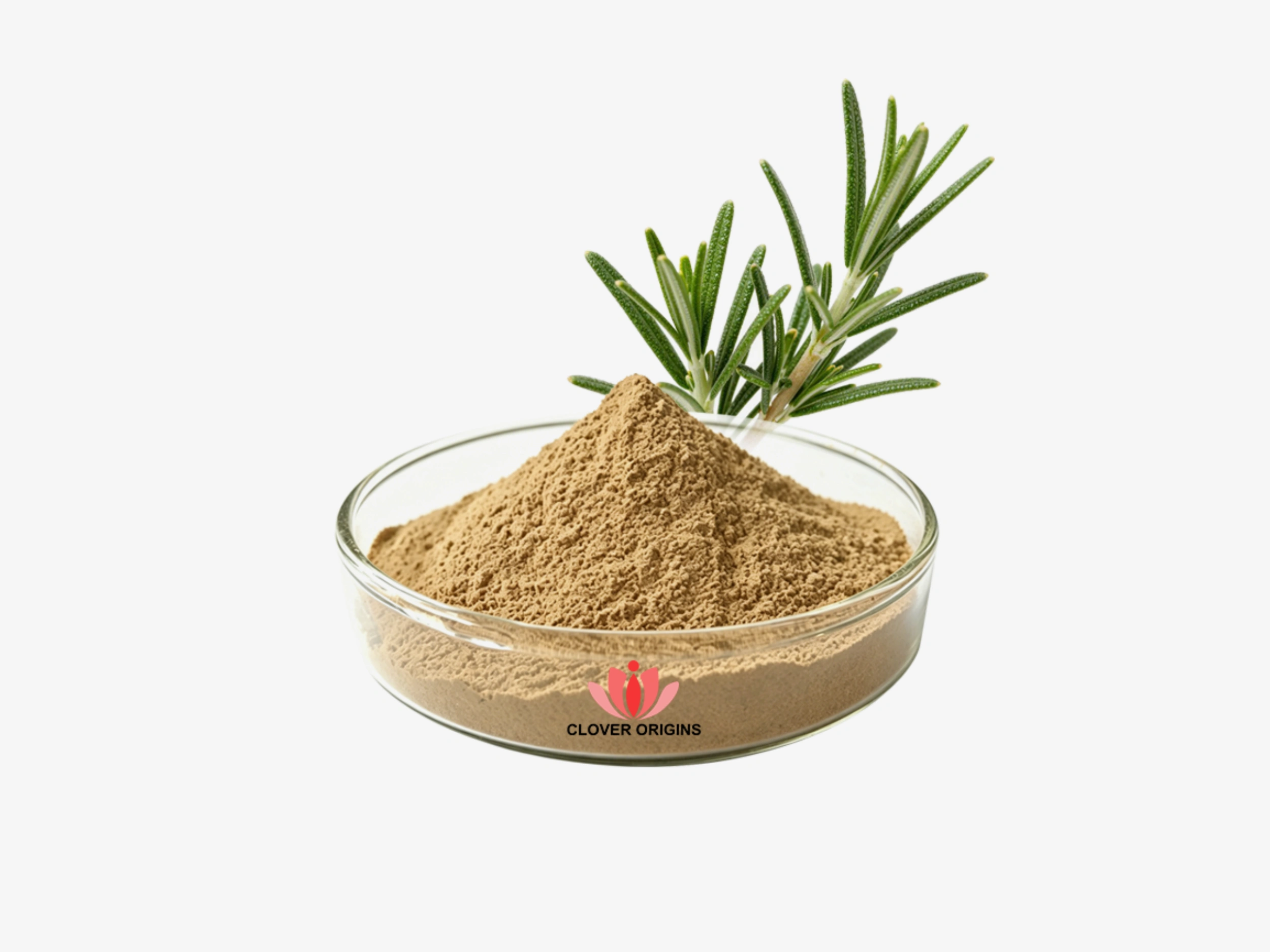 Why Rosemary Extract is the Ultimate Natural Preservative?
