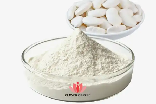 The GLP-1 Companion: Why White Kidney Bean Extract is the Secret to Sustainable Weight Management