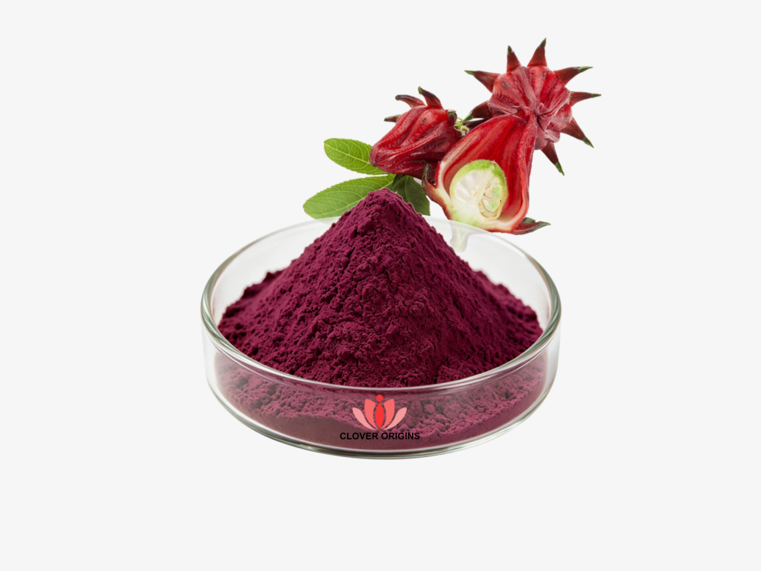 The Metabolic Secret: Transform Your Wellness with Hibiscus Extract