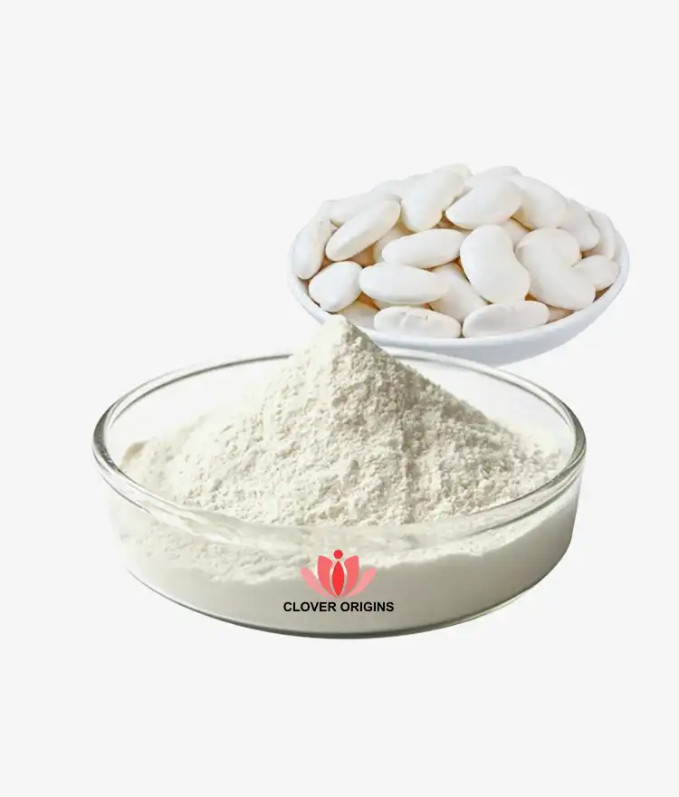 Why Is White Kidney Bean Extract Powder Popular Worldwide?