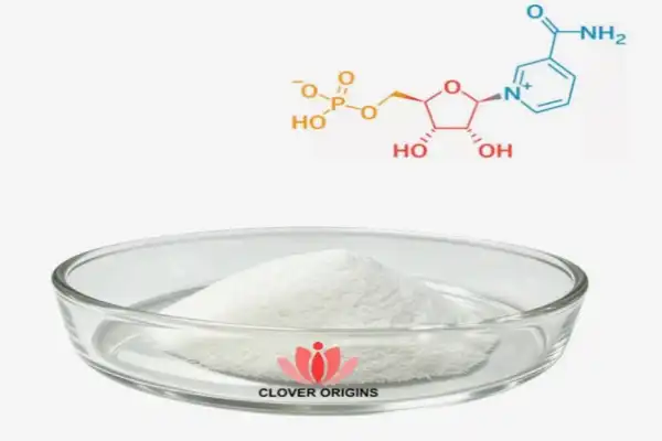 How β-NMN Supports NAD+ Production, Energy, and Metabolism？