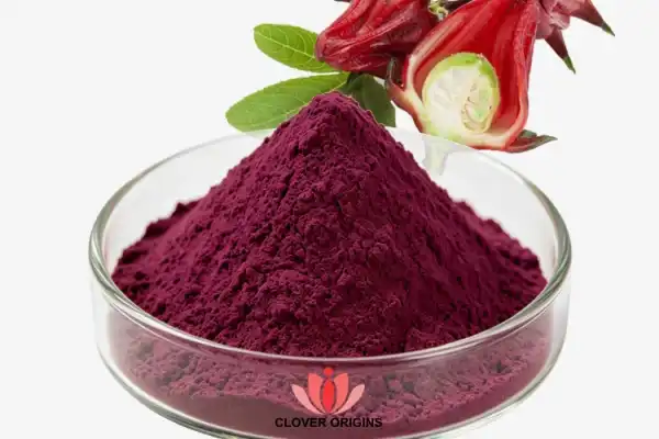 What is the Nutritional Power of Hibiscus Sabdariffa Flower Extract Powder？