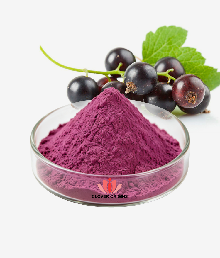 Acai Berry Powder