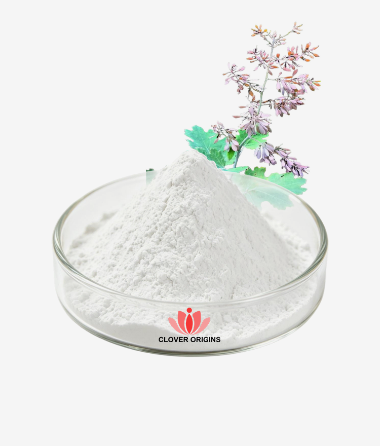 Allocryptopine Powder