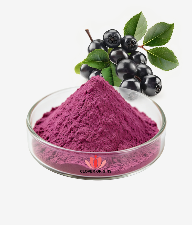 Aronia Berry Powder
