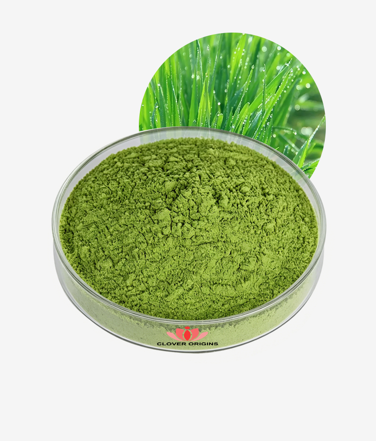 Barley Grass Powder