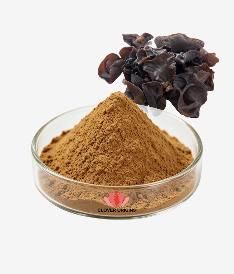 Black Fungus Extract