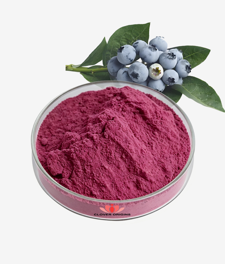 Blueberry Powder