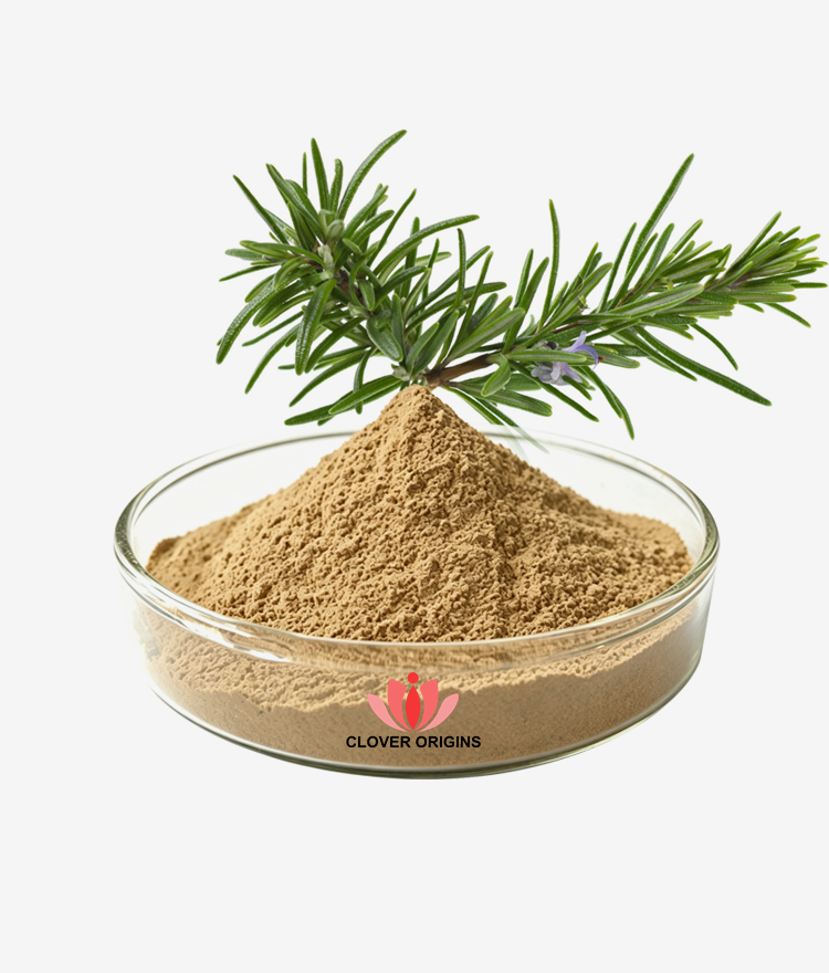 Carnosic acid Powder