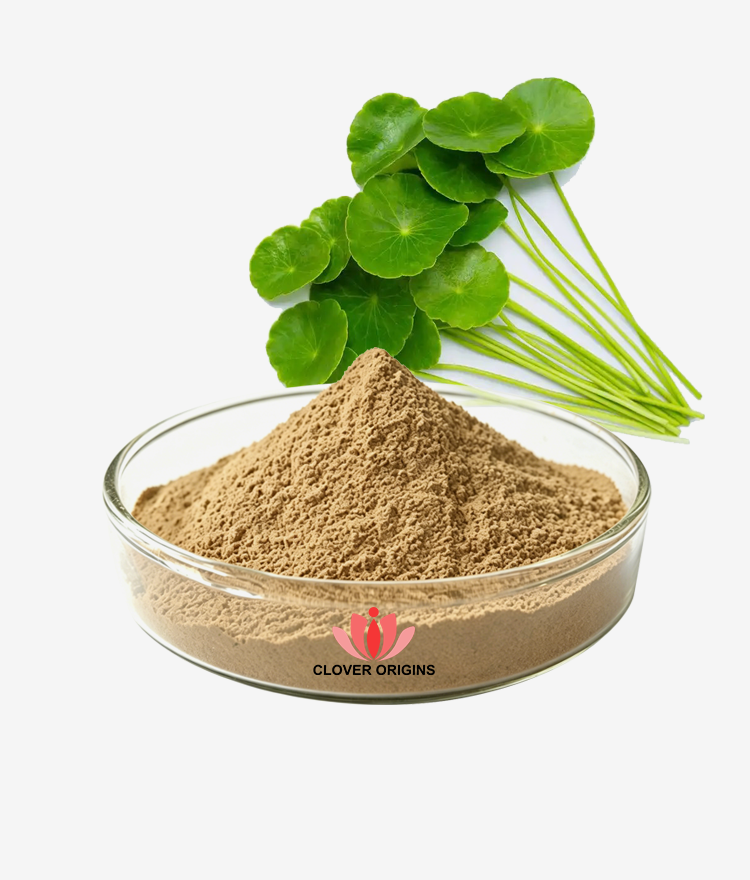 Centella Asiatica Extract Powder