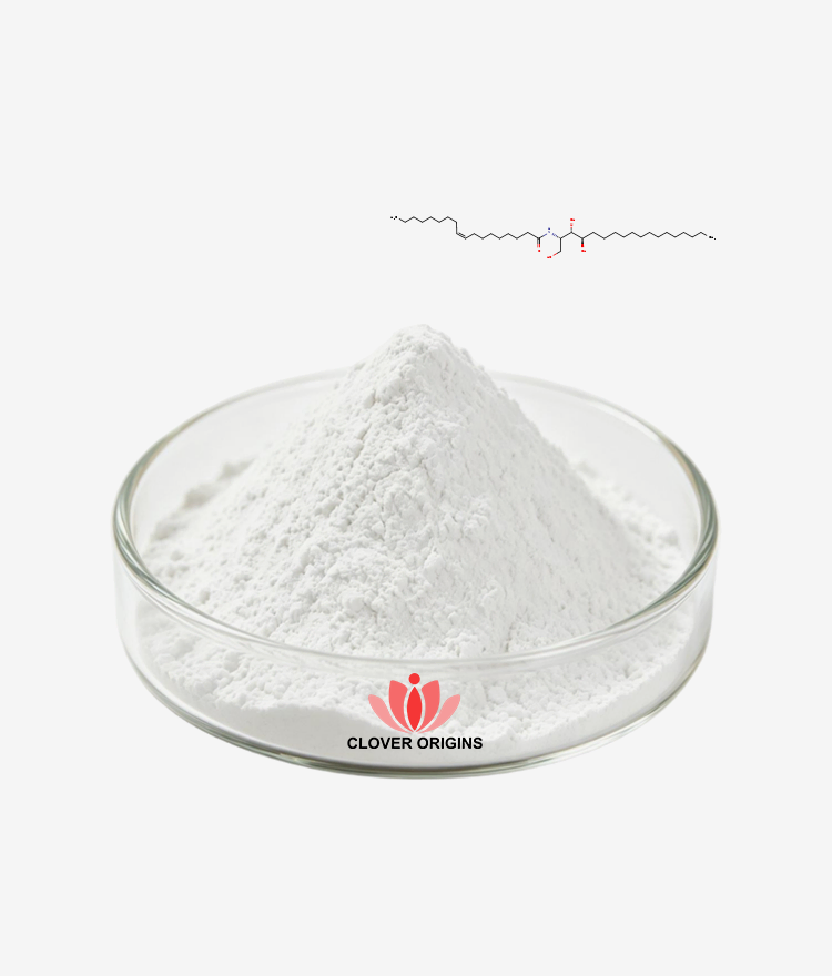 Ceramide NP Powder