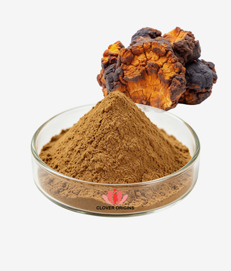 Chaga Mushroom Extract