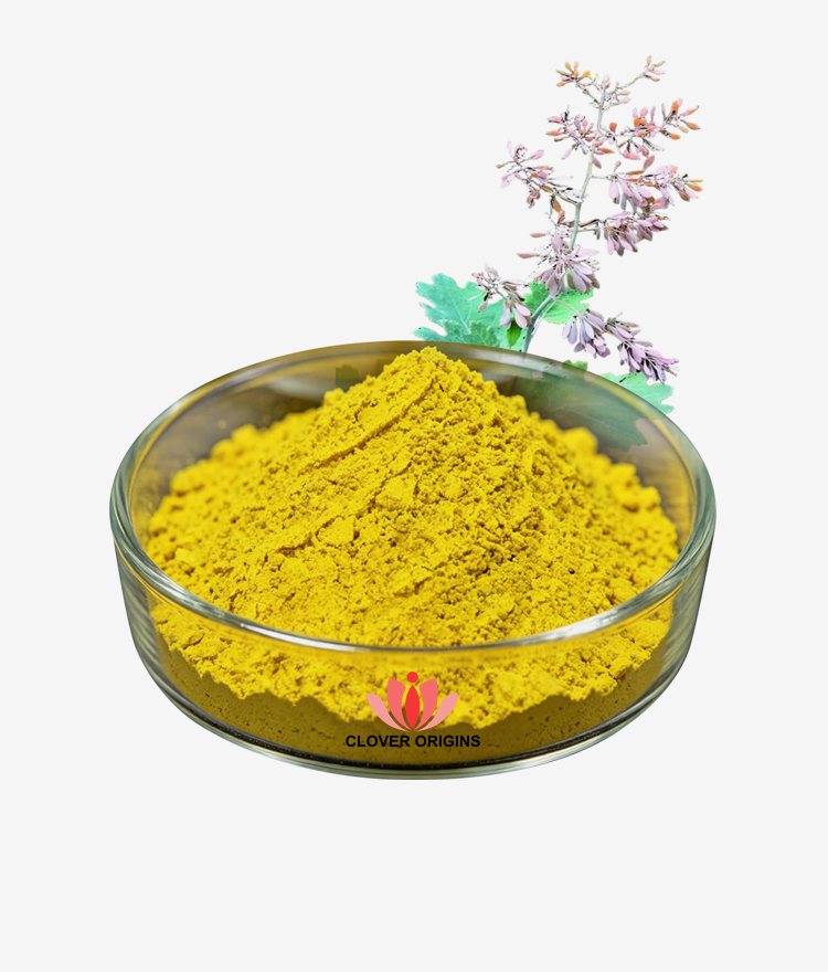 Chelidonine Powder