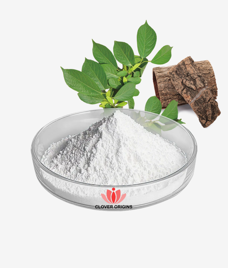 Chlorogenic acid Powder