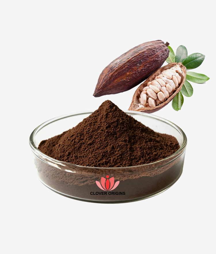Cocoa Bean Extract Powder