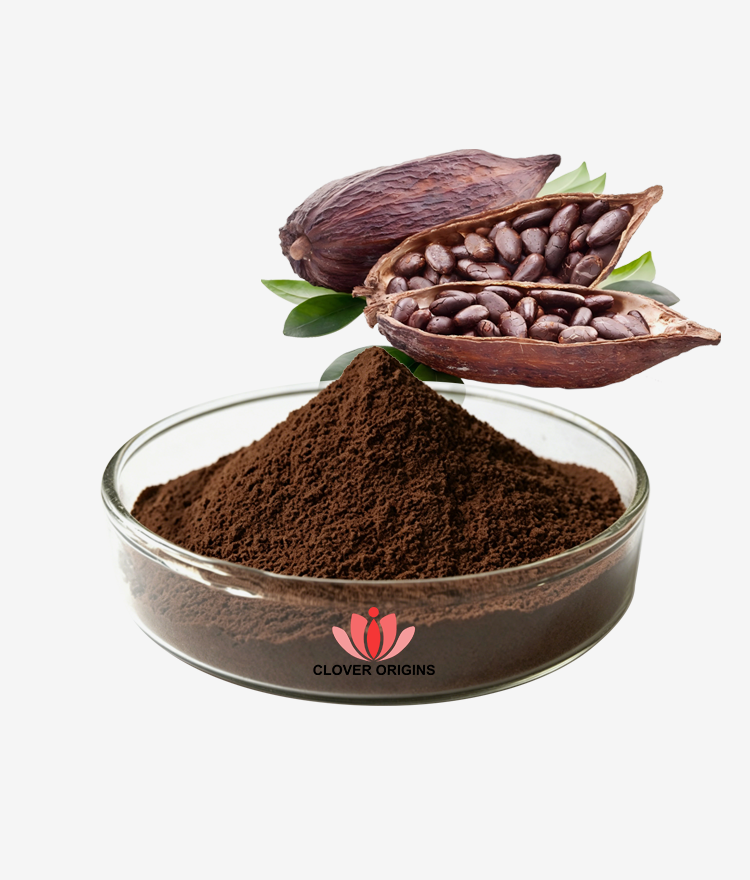Cocoa Seed Extract Powder