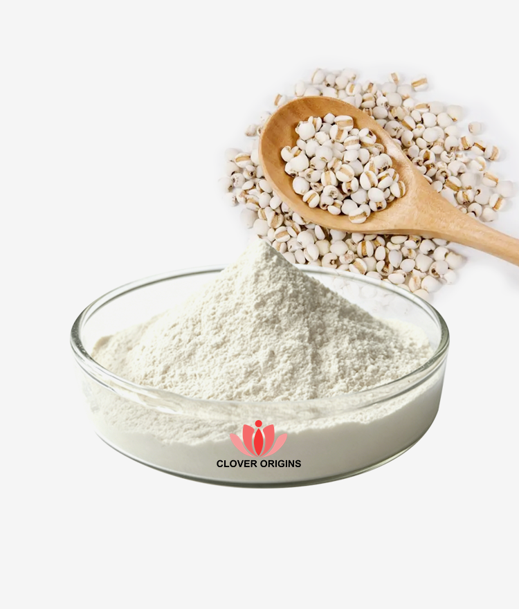 Coix Seed Extract Powder