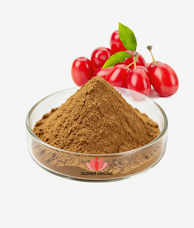 Cornus Officinalis Extract Powder