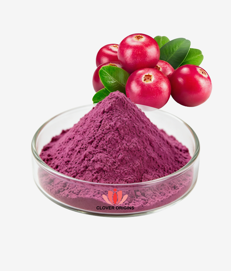 Cranberry Powder