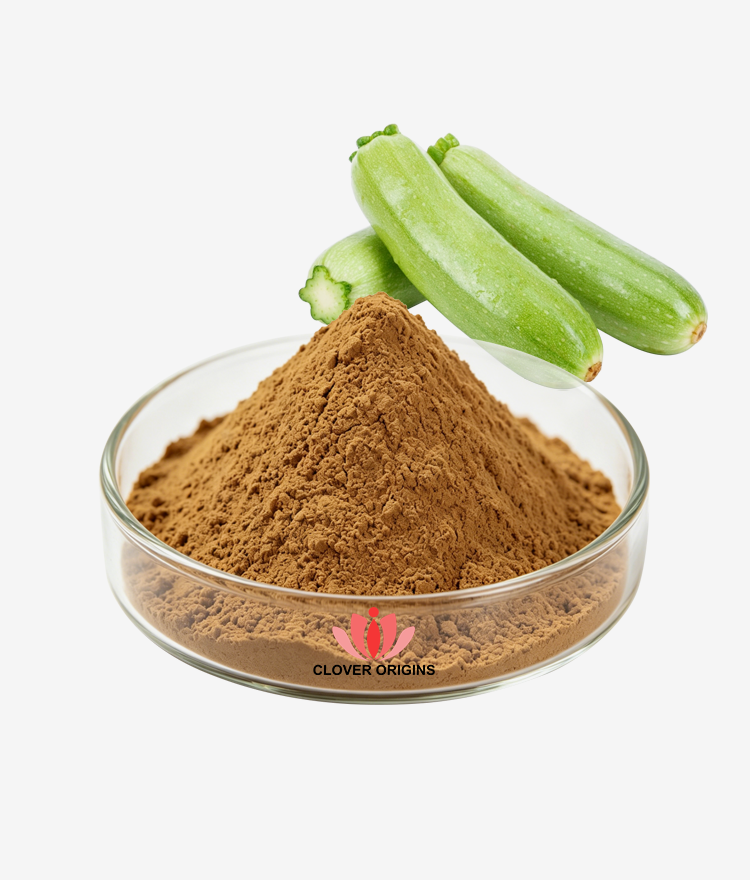 Cucurbita pepo Extract Powder